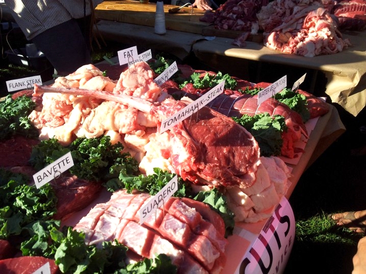 Team Yedra Presentation 2