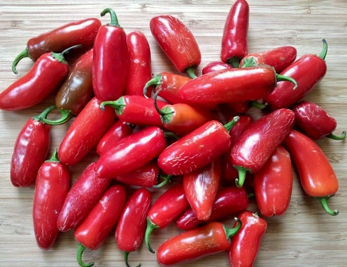 Red jalapeño chile peppers