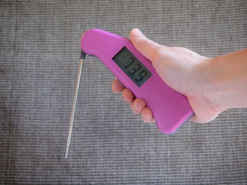 Thermapen