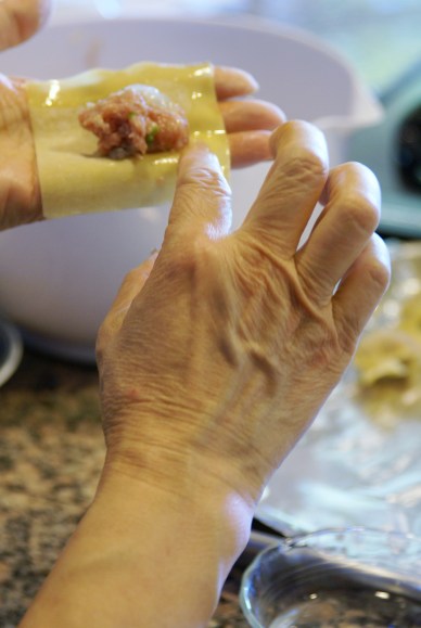 Wrapping wontons closeup