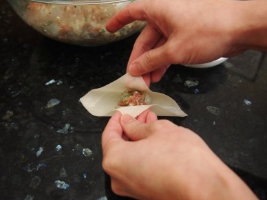 Wonton wrapping 1