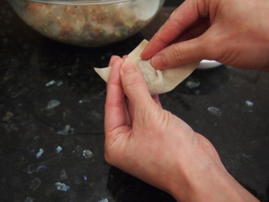 Wonton wrapping 5