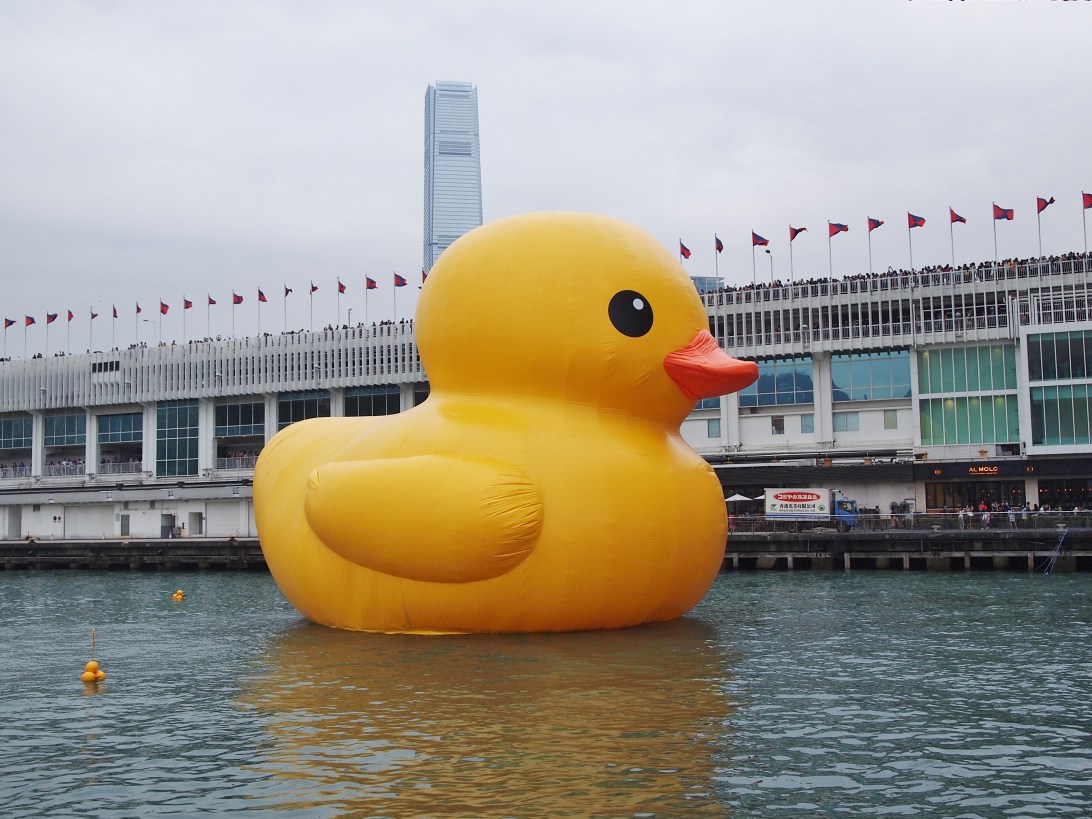 Hong Kong Harbour Rubber Duck